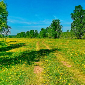 ������� ������