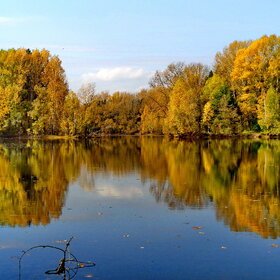 ���������� �����