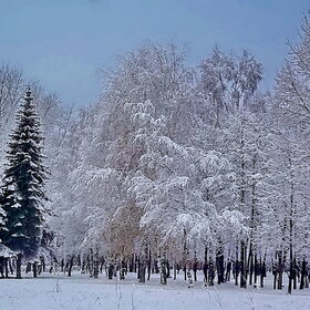 ��� �����������