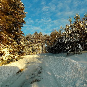 ������ � �������