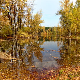 ���������� �����