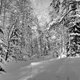 ������ ���