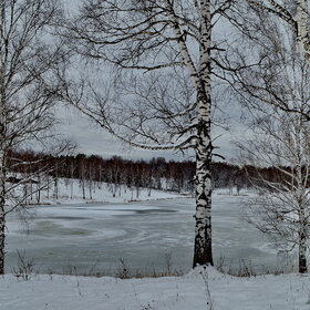 ������ �����