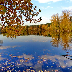 ���������� �����