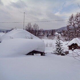 �.����������