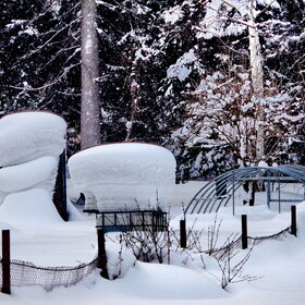 ��������