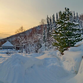 �.���, �������