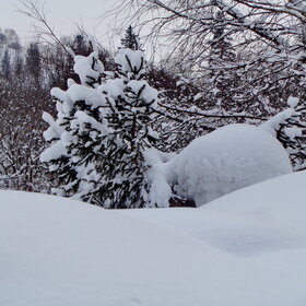 ����-��� ������� �����