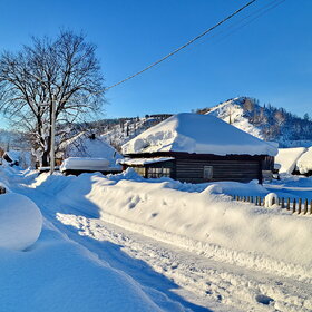 ���� ��������