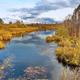 ����������� �����