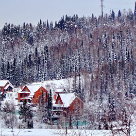 ������ ����� �.���