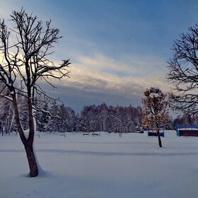 �.������������,  ����