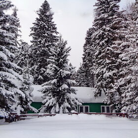 �.����������