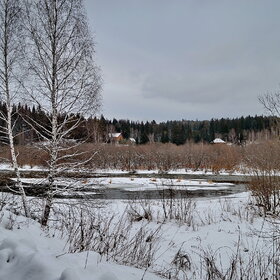 ���� �����