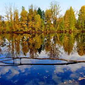 ���������� �����