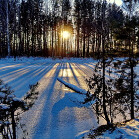 ����� �� �����