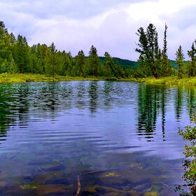 ����� ����������