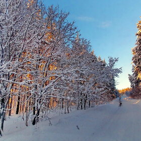 ������ �� �������