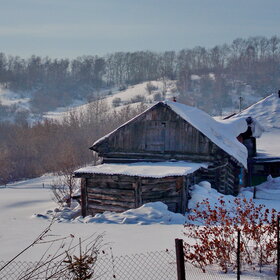 �.������