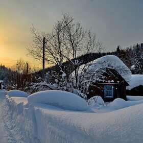 �������