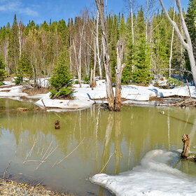 ���� �������