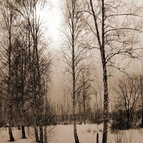 ��������� ������