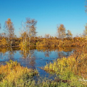 ����� ��  ������