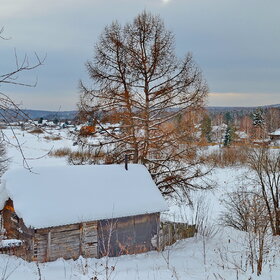 �.����������