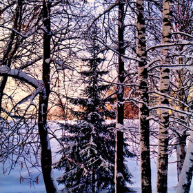 ������������ - ����