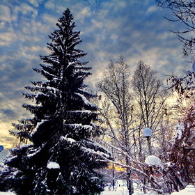 ������������