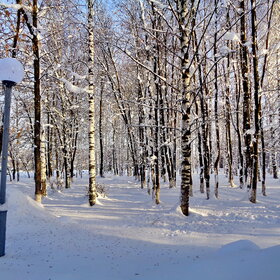 ������������, ����