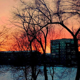 �������, �����������, ����� 01.03.26 �.